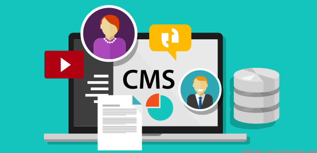 What is CMS?