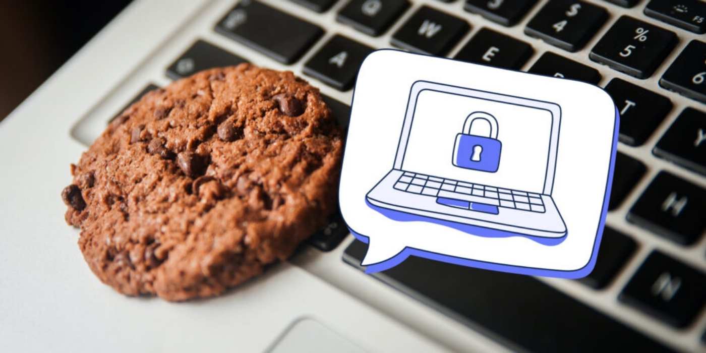 What are Cookies on the Internet?